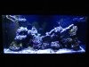 FTS.jpg