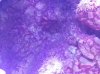 1376358989317.jpg