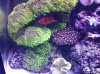 20130813_085041.jpg