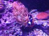 20130802_191750.jpg