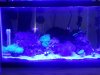 20130805_094320.jpg