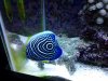 20130823_215322.jpg