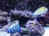 20130823_215333.jpg