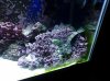 20130823_215438.jpg