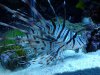 20130801_235412.jpg