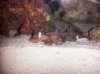 20130826_165759.jpg