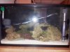 20130825_114957.jpg