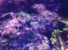 20130828_180228.jpg