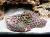 20130901_153348.jpg