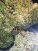 20130901_094543.jpg