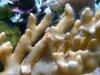 IMG_20130902_130138.jpg