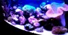 IMG_20130831_154016.jpg