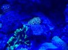 20130828_222718.jpg