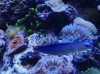 20130802_191433.jpg