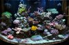 76gal.JPG