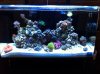 16gal.jpg