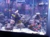 20130906_094632.jpg