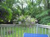 DSCN2038.jpg