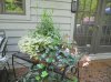 DSCN2039.jpg