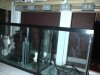 IMG-20130822-00058.jpg
