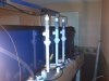 IMG-20130909-00074.jpg