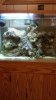 40 Gal.jpg