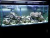 55 Gal.jpg