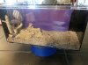 HOB Refugium.jpg