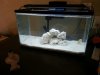 10 Gal.jpg