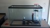 IMG_20130914_135921_407.jpg