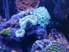 20130915_105829.jpg