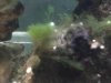 2013-09-17_21-23-25_926.jpg