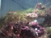 2013-09-17_21-24-26_347.jpg