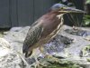 DSCN1853.jpg