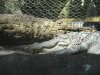 DSCN1856.jpg