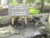 DSCN2014.jpg