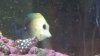 IMG_20130923_203824_168.jpg