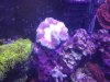20130924_193605.jpg