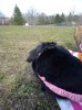 IMG_20120407_175801.jpg