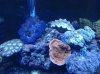20130324_180303.jpg