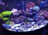 20130923_121245.jpg