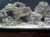 rubble5.jpg