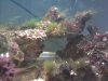 2013-09-17_21-24-14_483.jpg