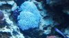 IMG_20131007_115719_885.jpg