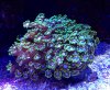 2013-10-09T18-10-35_0.jpg
