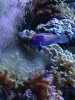 IMG_1035.jpg