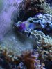 IMG_1036.jpg
