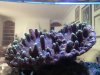 ImageUploadedByTapatalk1381493316.318098.jpg