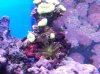 20131011_204855.jpg