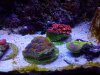 20131014_132653.jpg